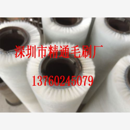 毛刷辊-抛光专用.JPG
